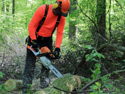 Stihl MS 362 Motorsäge – 4,8 PS Vollmeisselkette, Forsttaugliche Power Für Harte Holzarbeiten